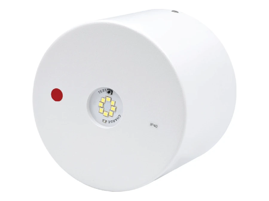 REL10NM-CY Surface Mount Cylindrical LED Emergency Luminaire REL10NM-CY